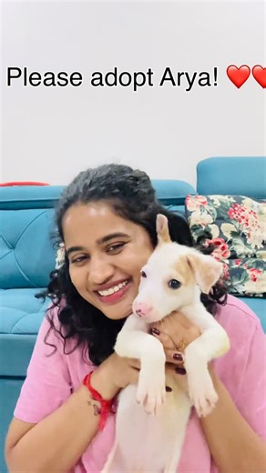 Seetha/Supraja🦋🇮🇳 on Instagram: "Please help me find a home for Arya! ❤️ Please share🙏"