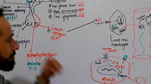 23 reactions · 3 comments | پورا لیکچر سننے کے لٕے نیچے لنک پرکلک کریں۔ ویڈیو کو شیر اور اگر دل نےاجازت دی تو چینل ک بھی سبسکرایب کریں۔شکریہفتہ https://youtube.com/channel/UCNUDKKQLDoyGPSGg-_H3DfQ | Up Teaching Academy | Facebook