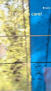 3.4K views · 156 reactions | Over two months after entering...