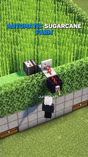 Minecraft Java & Bedrock | Automatic Sugarcane Farm 🌿 #minecraft #minecrafttutorial