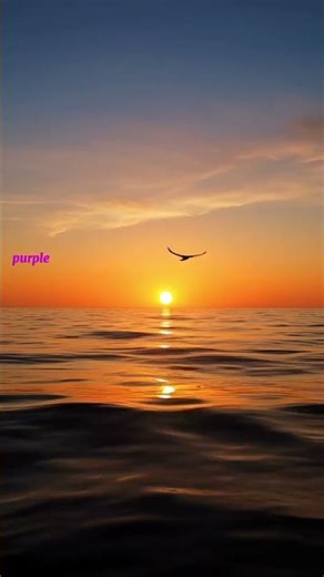 Golden Sunset Over the Ocean 🌅 Relaxing Slow Motion Waves #relaxing #sunset #shorts