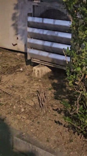 저 나쁜사람 아니에요😅(야옹아)