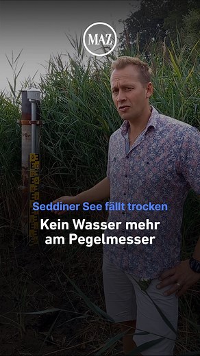 6.3K views | Dramatischer Wasserverlust: Der Seddiner See verliert weiter in einem dramatischen Tempo Wasser. Jetzt ist sogar der Pegelmesser des Landesumweltamtes trockengefallen. Das Messgerät kann keine Daten mehr liefern. #brandenburg #seddinersee | MAZonline / Märkische Allgemeine | Facebook
