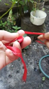 Para hindi sakitin ang anak niyo kung tubuan ng ngipin at mabilis lumabas gawin niyo lang ito #contentcreator #trend #follower #reelsviral #reelsfbviral #trendingreels #reelstrending #OFW #whatisthis #viralreels #reels | Mharwa Buladja