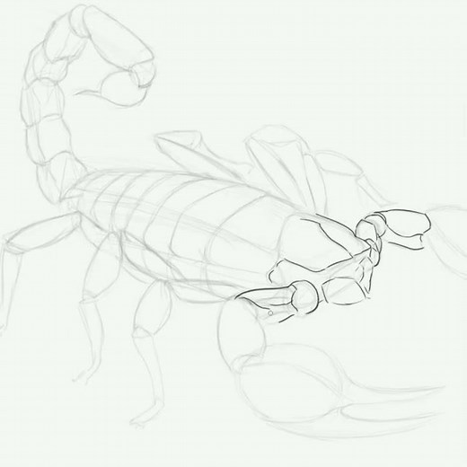 How to Sketch a Scorpion Using Simple Forms | Beginner Drawing Tutorial