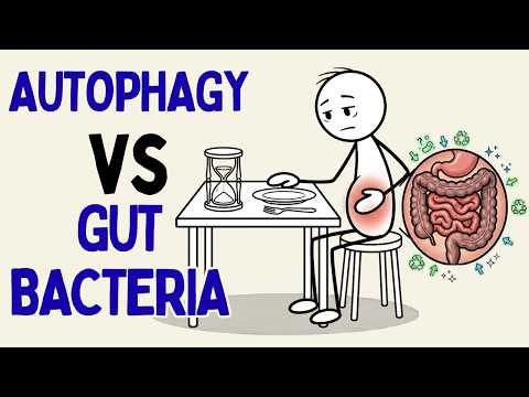 What Happens to Your Gut Bacteria During 72 Hours of Autophagy? (Science Explained)