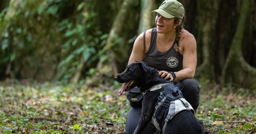 Nature | How This Sloth Poop-Sniffing Dog is Saving the Species