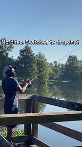11K views · 315 reactions | Dropshot Best Fall Bait?勞 Rod Duckett...