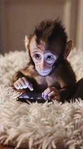 This baby monkey was given a cellphone and now can't stop using it... #animals #memes #aiart