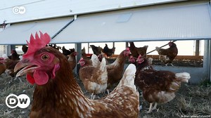 Germany: Increasing food production sustainably