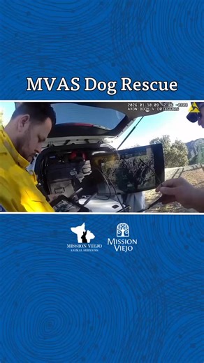 Mission Viejo Animal Services Center successfully rescued a lost dog from a remote canyon area following an extensive two-day search involving ground teams and aerial thermal drone technology. On Friday, Animal Services responded to a call from a Dove Canyon resident who reported that strong winds had startled and caused their dog to flee. The dog was last seen running into a canyon area between Dove Canyon and Coto de Caza. Animal Control Officers immediately responded and conducted a thorough 
