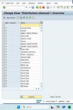 What is Distribution Channel in SAP? | Step-by-Step Creation Guide
