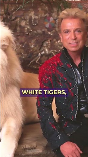 When Magic Turns Fatal: Tricks That Killed Magicians