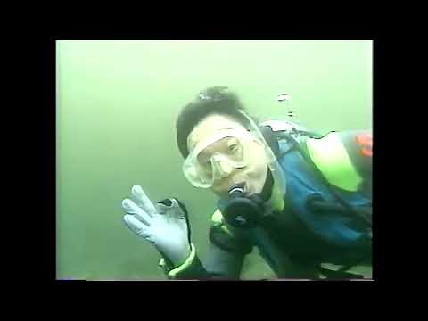 いきもの探検隊「海中大たんけん」