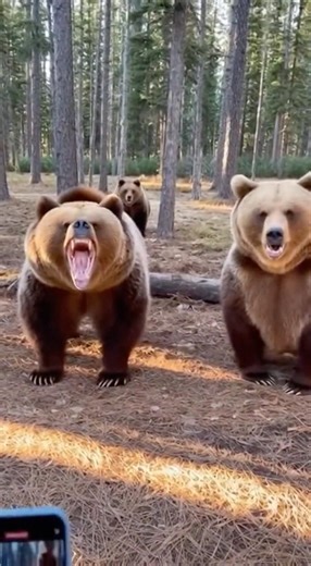 Bear Prank REVEAL Has Them Absolutely SHOOK 😂 #prank #shorts