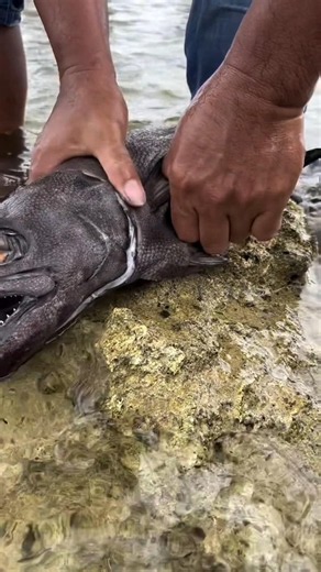 Unbelievable! What’s inside this scary deep sea fish? 😱🐟