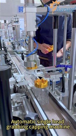 Automatic Monoblock Capper: Efficient Single-Head Grabbing & Tightening Machine for Various Caps