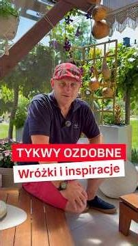 TYKWY, WRÓŻKI i INSTRUKCJE