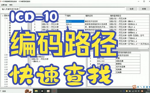 ICD编码路径查询程序