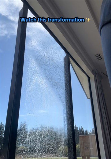 Expert Window Cleaning Services in Christchurch