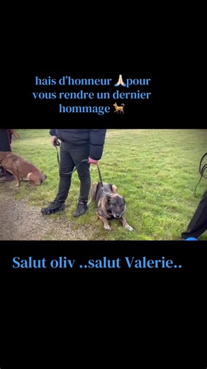 RIP Olivier Omnes: A Tribute to a Coaching Legend