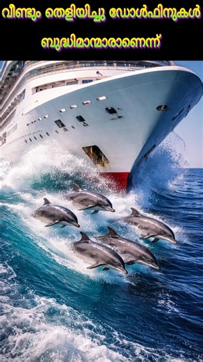 Dolphins are proven to be intelligent again 🐬 #shorts #viral #dolphin