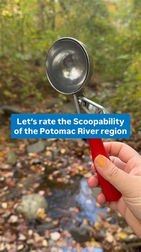 Ahh fall - the best time to test Potomac scoopability! And what better place than Rock Creek Park! #PotomacRiver #RockCreekPark #Acorns #DC #Trees #CleanWater #Water #WaterQuality | Potomac Conservancy