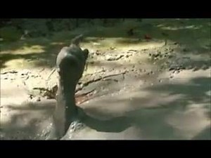 Me in the Quicksand | The Quicksand