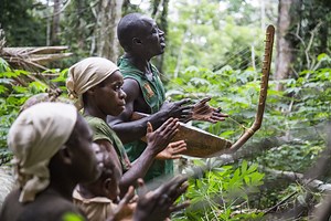 Dja Reserve — Institute of the Environment and Sustainability at UCLA