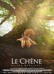 Au cinéma, “Le chêne”, une ode à la forêt