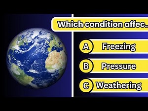 Social Science Basics for 2nd Grade Students | Fun Learning Video! Easy and Fun! ‪@BrainTwisteriq‬