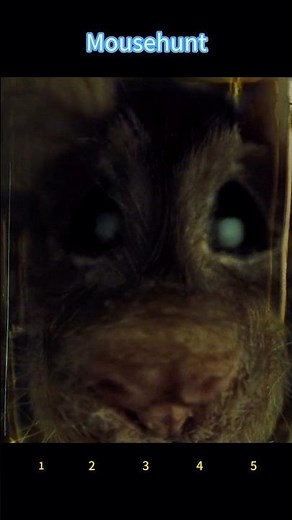 Mouse Hunt (1997) | The Ice Slide