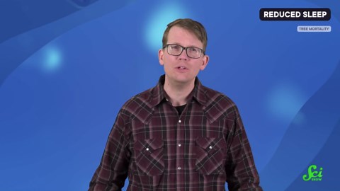 Can’t sleep? Blame the climate crisis