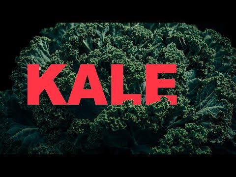 Kale Explained: From Ancient Survival Green to Modern Superfood