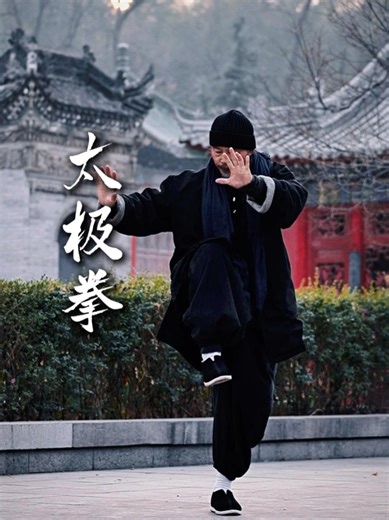 太极：术、道与形化之道