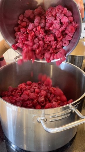 My favorite perennials are rhubarb, asparagus, strawberries, and red raspberries. I think of them as the backbone of my garden. They faithfully come up every year and do their job without my help while I run around planting all the annuals😂 if I was a beginner homesteader, one of the first things I would do is plant a whole bunch of perennials on my property. #Homesteading #HomesteadLife #Perennials #Asparagus #Rhubarb #RedRaspberries #Strawberries #MoreThanFarmers #SelfSufficiency #SelfSustain