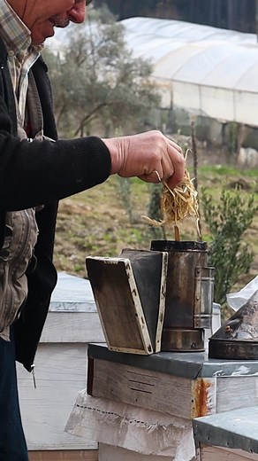 Beekeeping villagers #reels #village #villagelife #villagevlog #villagefood #villagepub #village #villagebeauty #villagecooking #villagediaries #villagelifestyle #villagelifechallenge #ittakesavillage #cook #cookie #cookies #cooking #cookieart #cookingtips #cookingathome #cookingwithlove #cookiedecorating #cookiesofinstagram #campfirecooking #mountainvillage #mountainchef #villagecooking #friedchicken | Outdoor Cooking