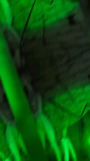 Antwerp mansion invest last night ghost hunt #trendingreels #trendingreelsvideo #trendingreel #proudtobeparanormal #paranormalinvestigationteam #Ghosttrend #ghosthuntinguk #paranormalactivity #spookyseason #ghosthunt #haunted #hauntedhouse #hauntedhistory #hauntedplaces #Haunting #ghost #ghoststories #ghostbusters #ghoststory #ghosthunting #paranormal #paranormalinvestigation #paranormalevidence #trendingpost #trendingvideo #trendingnow #trend #whatateam | Haunted Sthelens