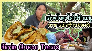 425K views · 10K reactions | ช่วยพ่อสามีเก็บอโวคาโดที่สวนไปขาย...