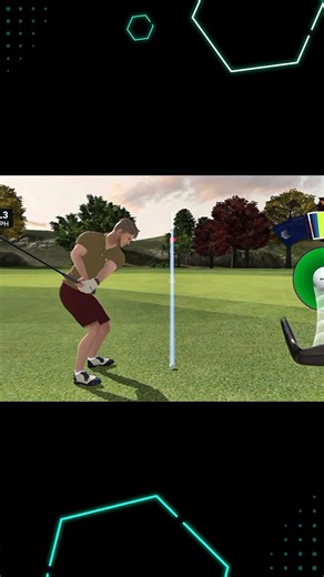 Perfect shot #golf #gaming #golfshorts