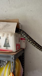 1.6K reactions · 119 comments | It’s a bit too soon to get the...