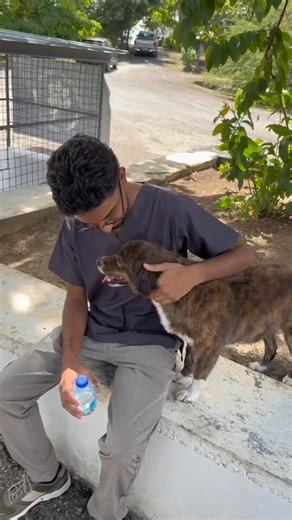 Animals Alive is excited to collaborate with UWI SVM, offering students hands-on experience in Shelter Medicine through practical sessions with us. We anticipate great outcomes from this collaboration. | Animals Alive