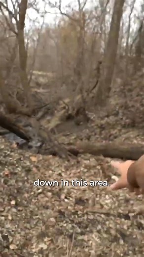 10K views · 126 reactions | I faced a freezing night in the forest! #survivalchallenge #walmartfinds #outdooradventure #survivalskills #winterchallenge #wildernessliving #survive24hours #gearup #adrenalinejunkie #natureexploration | Andrew Flair | Facebook