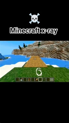 minecraft x-ray ☠️
