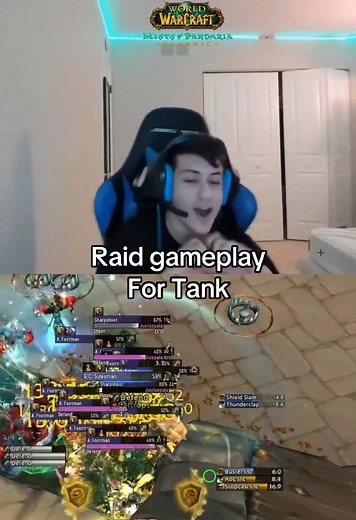 Complete Guide to Raid Gameplay for Healers and Tanks