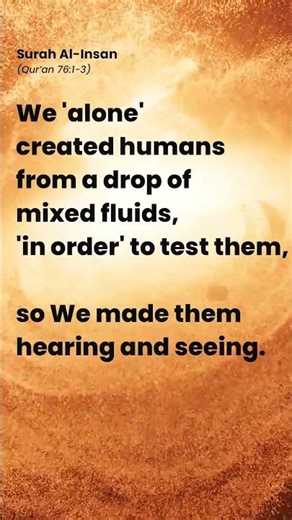 The Brutal Truth About Your Origin #universe #quran #life