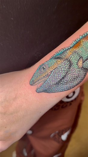 Calotes mystaceus, the Indo-Chinese forest lizard or blue crested lizard, is an agamid lizard found in China, South Asia and Southeast Asia. | Jay Legend Tattoos