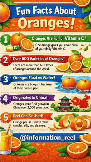 Amazing Fun Facts About Oranges You Didn’t Know!