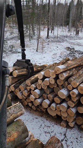 Stack on Stacks 🪵🎄🤙 #machine #forestry #logtruck | Logger Mack