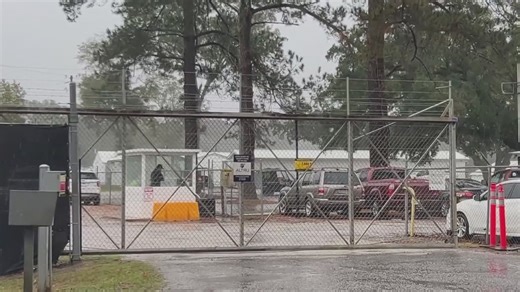 Lowcountry lab monkeys reunited with researchers